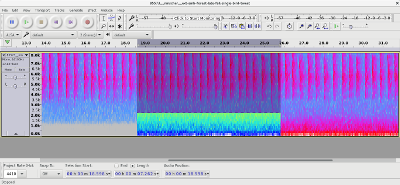 An example of using spectral editing tools in Audacity to highlight unwanted audio.